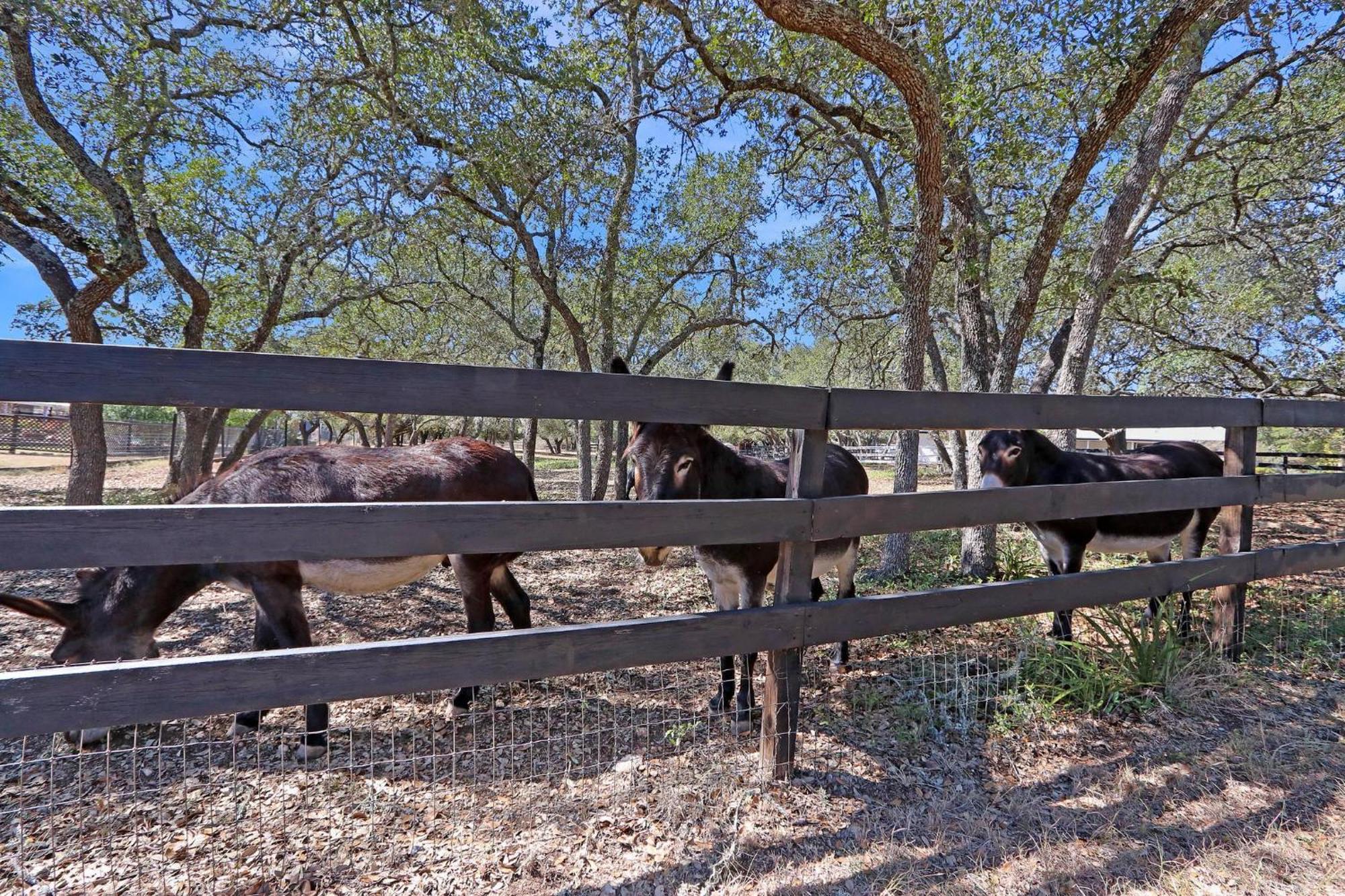 Red Donkey Cottage Wimberley Exterior foto